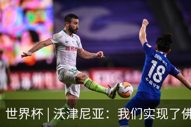 世界杯 | 沃津尼亚：我们实现了佛得角人民的梦想