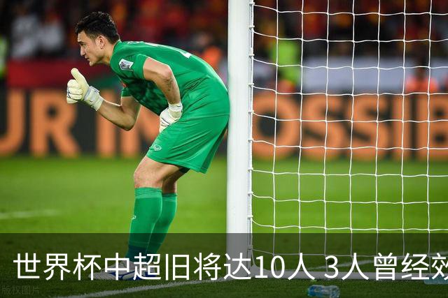 世界杯中超旧将达10人 3人曾经效力国安海港两将