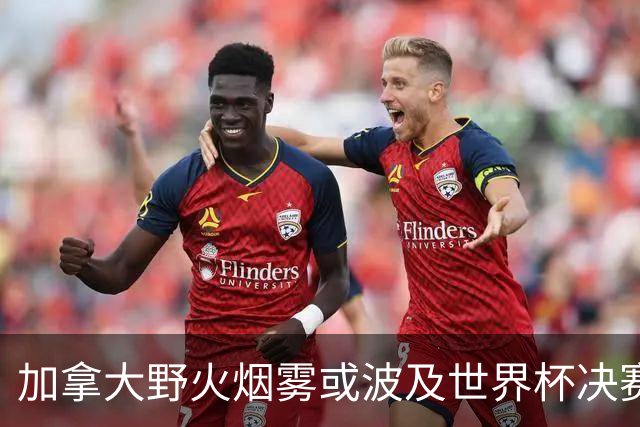 加拿大野火烟雾或波及世界杯决赛 空气污染影响竞技状态