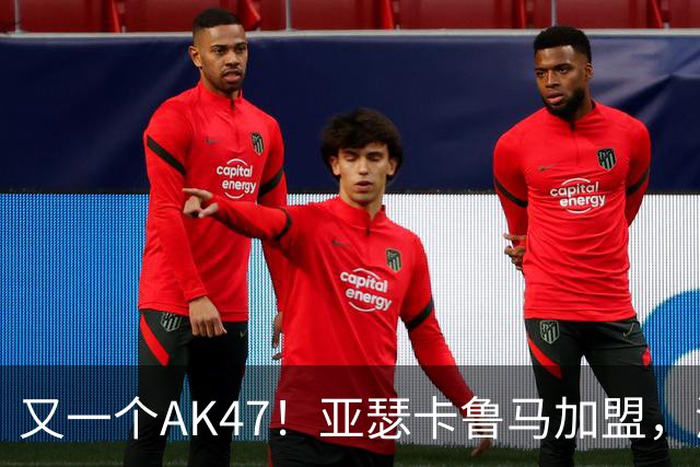 又一个AK47！亚瑟卡鲁马加盟，湖人自研里德？