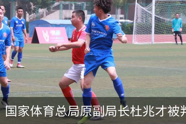 国家体育总局原副局长杜兆才被判处有期徒刑十四年