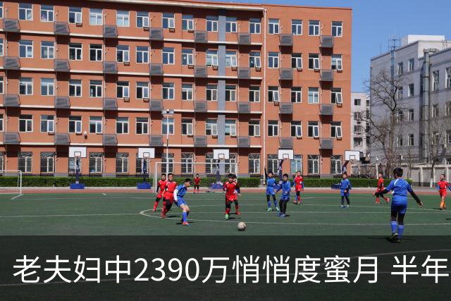 老夫妇中2390万悄悄度蜜月 半年后儿子还不知