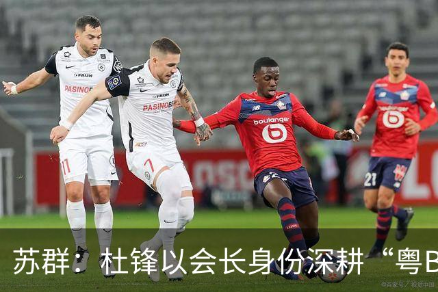 苏群：杜锋以会长身份深耕“粤BA” 联动多部门激活广东文旅消费