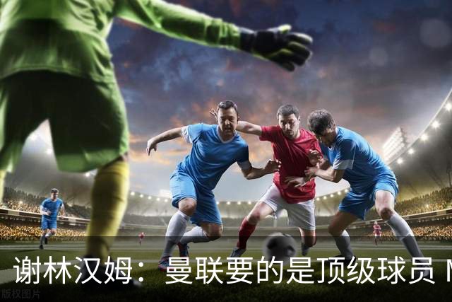 谢林汉姆：曼联要的是顶级球员 M费不够好没必要为错过他沮丧