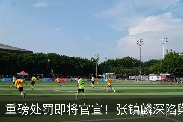 重磅处罚即将官宣！张镇麟深陷舆论遭到质疑，大量球迷提议撤销上海男篮总冠军头衔